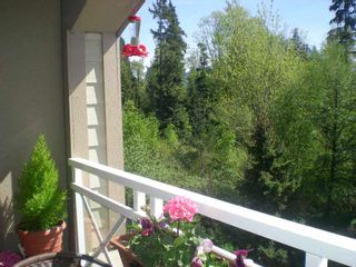 Photo 17: 433 3600 WINDCREST Drive in North Vancouver: Roche Point Condo for sale in "RAVENWOODS" : MLS®# R2072871
