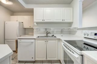 Photo 13: 32B 231 Heritage Drive SE in Calgary: Acadia Apartment for sale : MLS®# A1172862