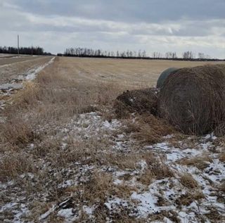 Main Photo: 223: Rural Sturgeon County Agriculture for sale : MLS®# A2121983