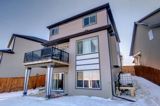 Photo 48: 115 Copperpond Cove SE Calgary Home For Sale