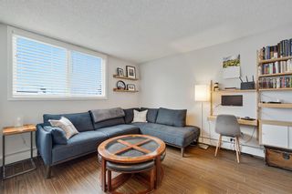 Photo 11: 301 4619 73 Street NW in Calgary: Bowness Apartment for sale : MLS®# A2035068