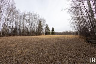 Photo 25: Hwy 2 Twp Road 670: Rural Athabasca County Vacant Lot/Land for sale : MLS®# E4382679