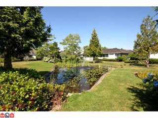 Photo 10: 25 21746 52ND Avenue in Langley: Murrayville Townhouse for sale in "Glenwood" : MLS®# F1121585