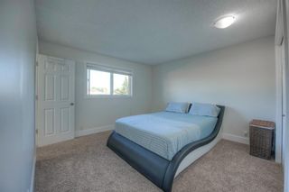 Photo 13: 108 TEMPLEMONT Circle NE in Calgary: Temple Detached for sale : MLS®# A1019637