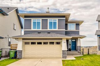 Photo 1: 194 Sagewood Grove SW: Airdrie Detached for sale : MLS®# A1234323