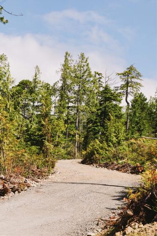 Photo 6: LOT A Hawkes Rd in Ucluelet: PA Ucluelet Land for sale (Port Alberni)  : MLS®# 911701