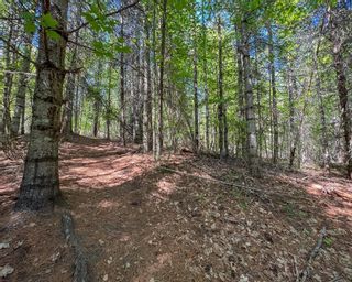 Photo 14: Lot C VICTORIA AVENUE in Kaslo: Vacant Land for sale : MLS®# 2476304