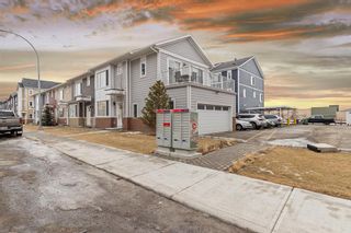 Photo 5: 202 11428 52 Street NE in Calgary: Skyview Ranch Row/Townhouse for sale : MLS®# A2025771