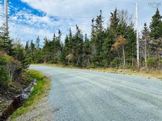 Photo 12: Lot 09-5 West Liscomb Point Road in West Liscomb: 303-Guysborough County Vacant Land for sale (Highland Region)  : MLS®# 202324035