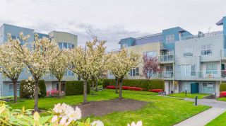 Photo 18: D121 8620 JONES Road in Richmond: Brighouse South Condo for sale in "Sunnyvale" : MLS®# R2159142