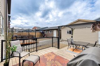 Photo 29: 13 Evanscrest Road NW in Calgary: Evanston Detached for sale : MLS®# A2039397