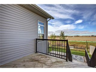 Photo 23: 788 Luxstone Landing SW: Airdrie House for sale : MLS®# C4083627