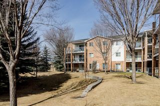 Photo 3: 427 165 Manora Place NE in Calgary: Marlborough Park Apartment for sale : MLS®# A1196284