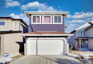 Photo 2: 8461 Saddleridge Drive NE in Calgary: Saddle Ridge Detached for sale : MLS®# A2026453