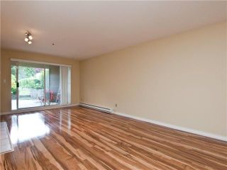 Photo 10: 308 1000 BOWRON Court in North Vancouver: Roche Point Condo for sale in "BOWRON COURT" : MLS®# V896623