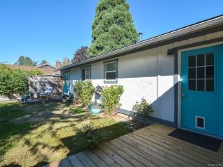 Photo 35: 3797 MEREDITH DRIVE in ROYSTON: CV Courtenay South House for sale (Comox Valley)  : MLS®# 771388