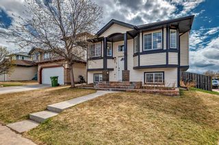 Photo 44: 21 Creek Springs Road NW: Airdrie Detached for sale : MLS®# A2127421