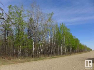 Photo 6: 50 Ave RR 281: Rural Wetaskiwin County Vacant Lot/Land for sale : MLS®# E4299353