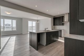Photo 13: 228 Red Sky Terrace NE in Calgary: Redstone Detached for sale : MLS®# A1064865