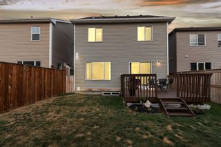 Photo 41: 185 Windford Rise SW: Airdrie Detached for sale : MLS®# A1256977