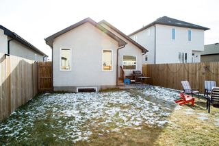 Photo 23: Crocus Meadows Bungalow: House for sale (Winnipeg) 