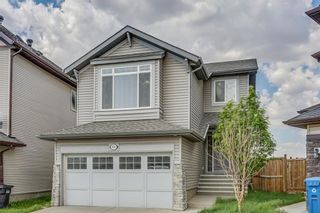 Photo 2: 51 Skyview Springs Cove NE in Calgary: Skyview Ranch Detached for sale : MLS®# C4186074