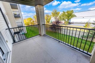 Photo 27: 1220 4975 130 Avenue SE in Calgary: McKenzie Towne Apartment for sale : MLS®# A2083053