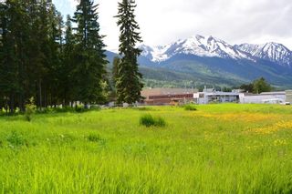Photo 8: LOT 4-7 W 16 Highway in Smithers: Smithers - Town Land Commercial for sale (Smithers And Area (Zone 54))  : MLS®# C8038974