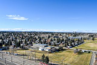 Photo 31: 1520 8880 Horton Road SW in Calgary: Haysboro Apartment for sale : MLS®# A1157156