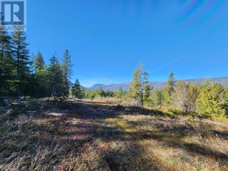 Photo 2: 712 Grange Road in Enderby: Vacant Land for sale : MLS®# 10310045