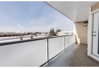 Photo 12: 305 3737 42 Street NW in Calgary: Varsity Apartment for sale : MLS®# A2129816