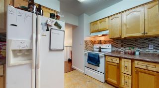 Photo 10: 38291 HEMLOCK Avenue in Squamish: Valleycliffe House for sale : MLS®# R2529072