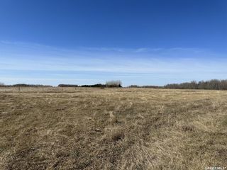 Photo 2: 260 Doell Lane in Blumenthal: Lot/Land for sale : MLS®# SK952668