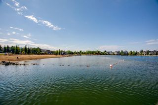 Photo 47: 9 Auburn Bay Park SE in Calgary: Auburn Bay Detached for sale : MLS®# A1237070
