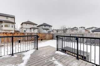 Photo 39: 10 Royal Birch Way NW in Calgary: Royal Oak Detached for sale : MLS®# A1189175