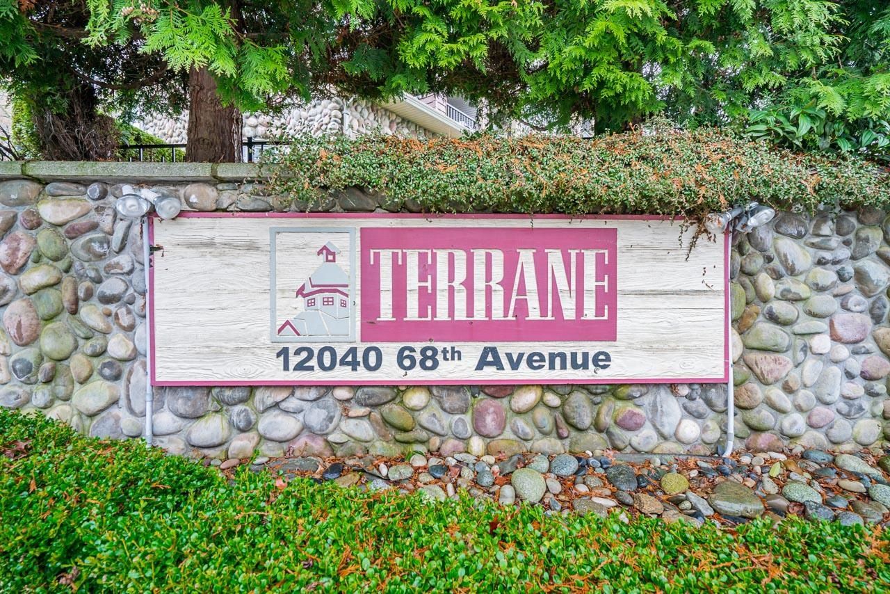 Main Photo: 154 12040 68 Avenue in Surrey: West Newton Townhouse for sale : MLS®# R2656420