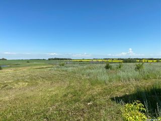 Photo 11: Wakaw Area Acreage in Fish Creek: Residential for sale (Fish Creek Rm No. 402)  : MLS®# SK917176