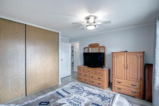 Photo 19: 23 Emberdale Way SE: Airdrie Detached for sale : MLS®# A2022990