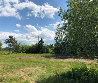 Photo 2: 81 Murphy Road in Cape John: 108-Rural Pictou County Vacant Land for sale (Northern Region)  : MLS®# 202215614