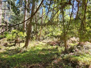 Photo 5: 1548 VANCOUVER BLVD in Savary Island: Vacant Land for sale : MLS®# 17229