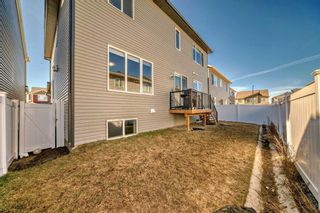 Photo 48: 270 Carringham Road NW in Calgary: Carrington Detached for sale : MLS®# A2123292