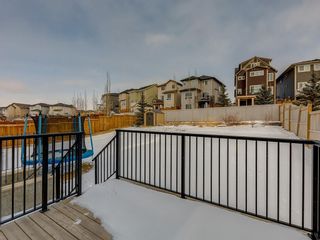 Photo 41: 14 HILLCREST Street SW: Airdrie Detached for sale : MLS®# C4291149