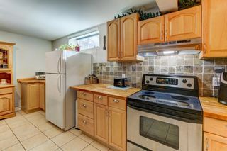Photo 20: 1711 12 Avenue NE in Calgary: Mayland Heights Detached for sale : MLS®# A1178466
