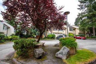 Photo 4: 8 9340 128 STREET in Surrey: Queen Mary Park Surrey Townhouse for sale : MLS®# R2319699