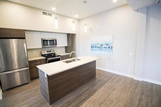Photo 20: 216 50 Philip Lee Drive in Winnipeg: Crocus Meadows Condominium for sale (3K)  : MLS®# 202201301