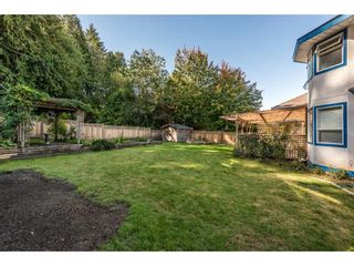 Photo 19: 21554 46A Avenue in Langley: Murrayville House for sale in "Macklin Corners, Murrayville" : MLS®# R2108795
