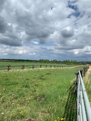 Photo 7: 62 ac Corner of Hwy 552 306 Ave West (Strathcona  School/Polo Club): Rural Foothills County Residential Land for sale : MLS®# A1227910