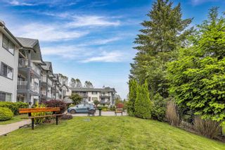 Photo 29: 205 11601 227 Street in Maple Ridge: East Central Condo for sale : MLS®# R2712985