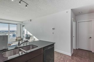 Photo 17: 1012 8880 Horton Road SW in Calgary: Haysboro Apartment for sale : MLS®# A2096304