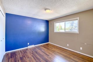 Photo 25: 3711 Bell Street NW in Calgary: Brentwood Detached for sale : MLS®# A1233500